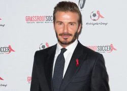 Becks hội ngộ Sir Alex và hai cựu sao Arsenal