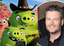 Blake Shelton lồng tiếng cho lợn trong phim 'Angry Birds'