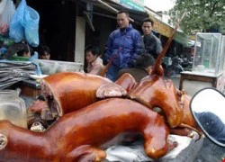 Bốn người Campuchia tử vong vì ăn thịt chó