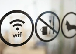 Có hay không chứng bệnh dị ứng với sóng WiFi?