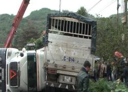 Đâm xe trên đường lên Sa Pa, 2 người tử vong tại chỗ