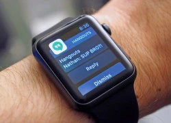 Google Hangouts đã dùng được trên Apple Watch