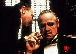 Hai mặt cuộc đời của huyền thoại 'Bố già' Marlon Brando