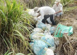 Hàng loạt bệnh viện chôn lậu rác thải y tế