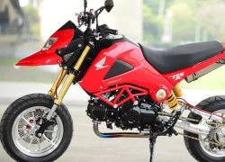 Honda MSX 125 &#8220;độ hết bài&#8221; phong cách Ducati Hyperstrada