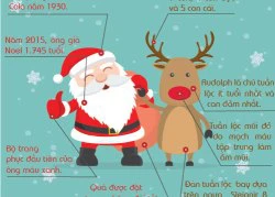 [Infographic] Những bí mật thú vị về ông già Noel