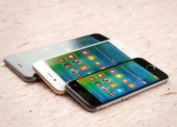 iPhone 6C vỏ kim loại có thể ra mắt tháng 2/2016