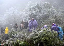 Khách du lịch lên Sapa ngắm băng tuyết