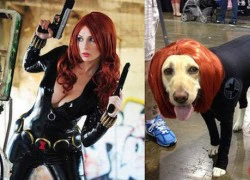 Khi những bộ cosplay hoàn hảo và xấu xí đặt cạnh nhau