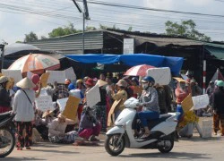 Khởi tố, tạm giữ 3 nữ tiểu thương gây rối không chịu vào chợ mới buôn bán