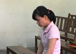 Làm giả hồ sơ lừa lấy gần 3 tỉ đồng