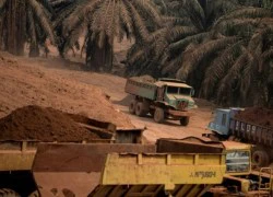 Malaysia: Hiểm họa khôn lường từ việc ồ ạt khai thác bauxite