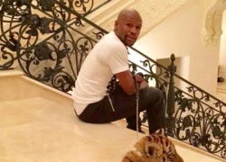 Mayweather được tặng hổ cho dịp Giáng sinh