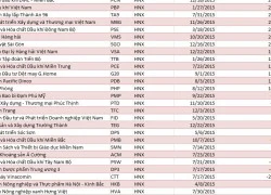 Năm 2015: Cổ phiếu hủy niêm yết trong giá "bèo", hàng mới lên sàn vẫn hấp dẫn