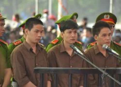 Những phiên tòa thu hút sự quan tâm đặc biệt của dư luận năm 2015