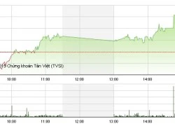 Phiên giao dịch chiều 29/12: Tự tin đón sóng