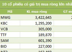 Phiên giao dịch cuối cùng năm 2015: Khối ngoại đẩy mạnh mua ròng 320 tỷ đồng