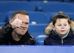 Rooney đưa con trai đi xem 'người cũ' Everton thi đấu