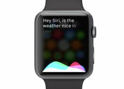 Tắt chức năng 'Hey Siri' trên Apple Watch