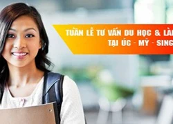 Thu hồi Chứng nhận hoạt động của Trung tâm du học quốc tế Trí Tài