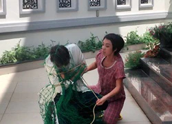 Thu Trang giăng lưới bắt Lưu Quang Anh