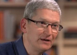 Tim Cook: Cáo buộc Apple trốn thuế là 'chính trị tào lao'