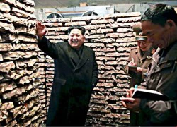 Tin đồn sân bay Triều Tiên bị gài bom để ám sát ông Kim Jong-un