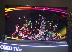 TV OLED 4K của LG có giá từ 80 triệu đồng