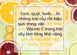 7 thực phẩm làm tiêu hao mỡ không thể thiếu trong ngày Tết