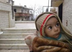 Ăn hết chó mèo, 40.000 người dân Syria ăn cỏ để sống