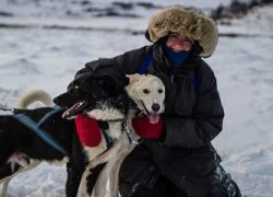 Bán nhà sống ở... Bắc Cực vì quá yêu chó Siberian Husky