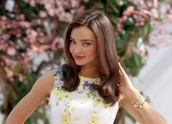 Bí quyết chăm sóc tóc của Miranda Kerr