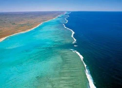 Bờ biển Ningaloo - rặng san hô gần bờ đẹp nhất thế giới