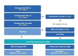 Các nước phân luồng giáo dục như thế nào?