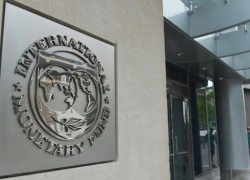 Cải tổ IMF: Mới đúng hướng, chưa đủ mức