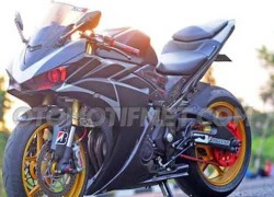 Chiêm ngưỡng Yamaha R25 phong cách siêu môtô