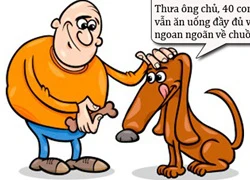 Chú chó chăn cừu thông minh
