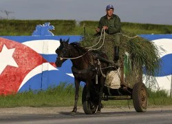 Cuba, Triều Tiên ký thỏa thuận hợp tác thương mại