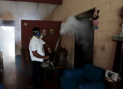 Cúm A/H1N1, vi rút Zika hoành hành ở nhiều nước