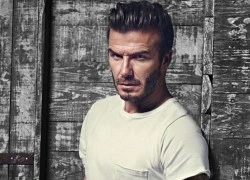 David Beckham chuẩn bị ra mắt bộ sưu tập mới