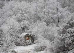 Đẹp "tê tái" những ngôi nhà ẩn mình trong tuyết trắng