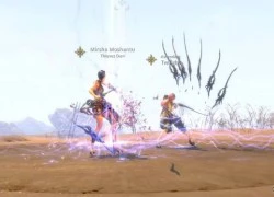 Game thủ Việt: Blade & Soul làm ơn đừng về Việt Nam