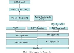 Gần 30% học sinh THPT Trung Quốc đỗ đại học hàng năm