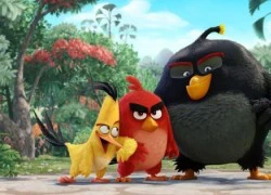 Giám khảo The Voice Mỹ sẽ vào vai một chú lợn trong Angry Birds: The Movie