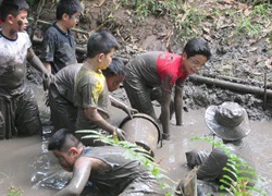 Học từ trải nghiệm