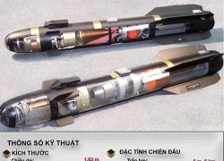 [Infographic] AGM-114 Hellfire "Sứ giả" từ hỏa ngục diệt tăng của Mỹ