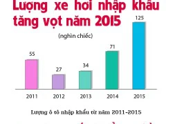 [Infographic] Nhập nhiều ô tô giá rẻ có hạn chế gì?