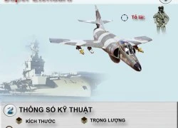 Infographic: Sức mạnh hủy diệt của cường kích Super Étendard