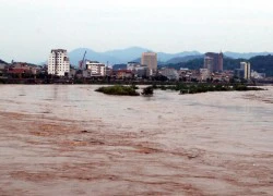 Làm đập di động trên sông Hồng