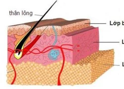 Liệu Collagen có phải là phương thức thần kỳ cho sắc đẹp?